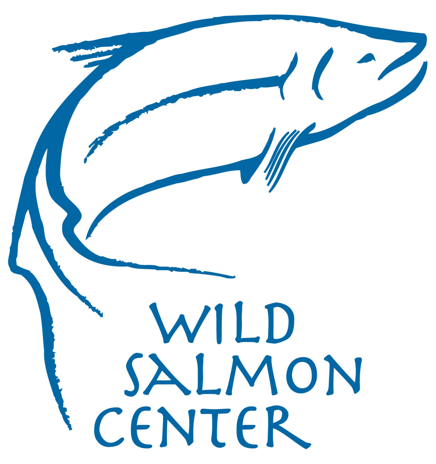 wildsalmoncenter.org