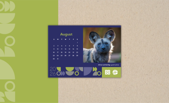 African Painted Dog