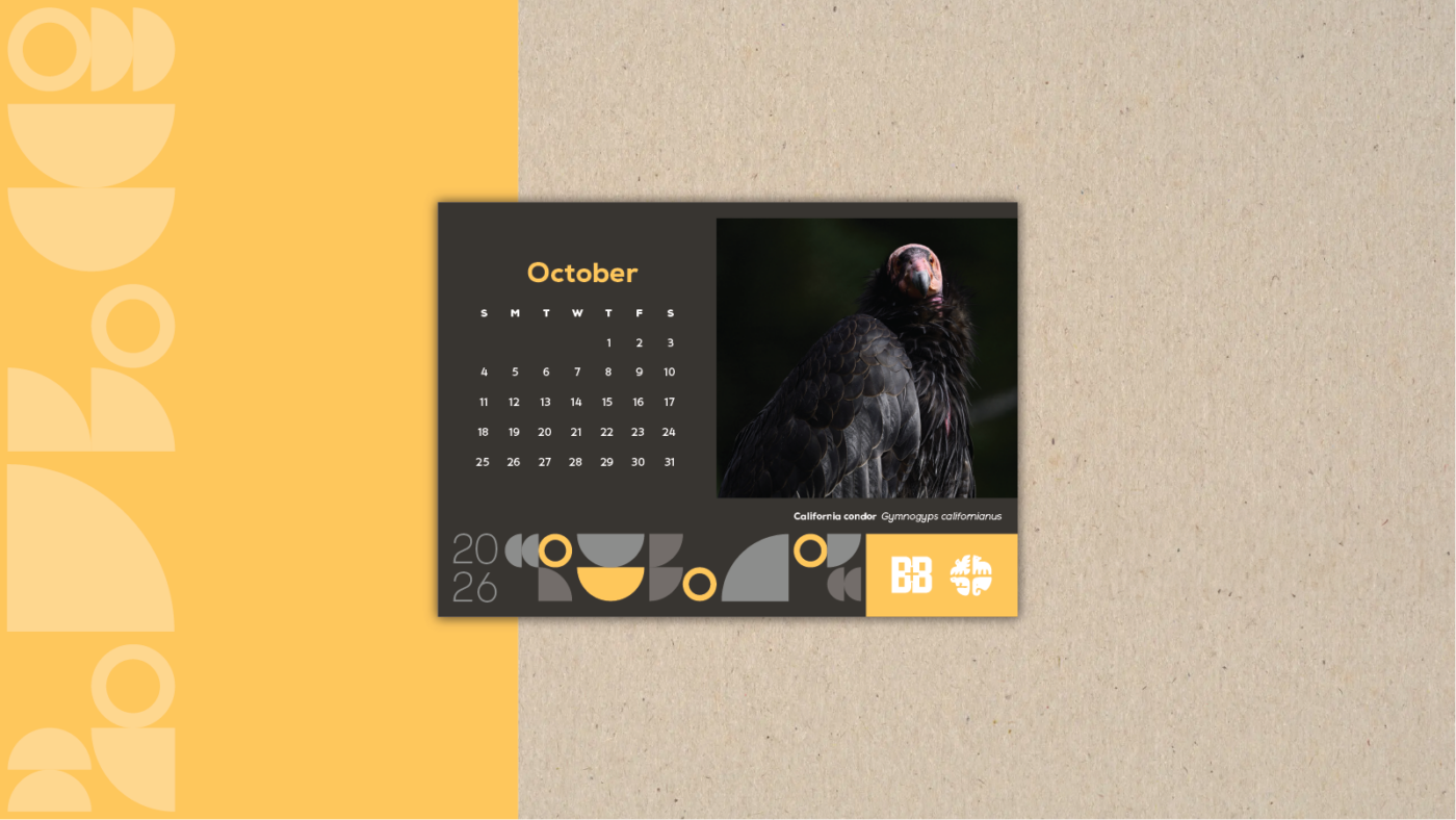 California Condor